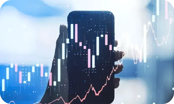 Havan Investimentos S.A. O que é